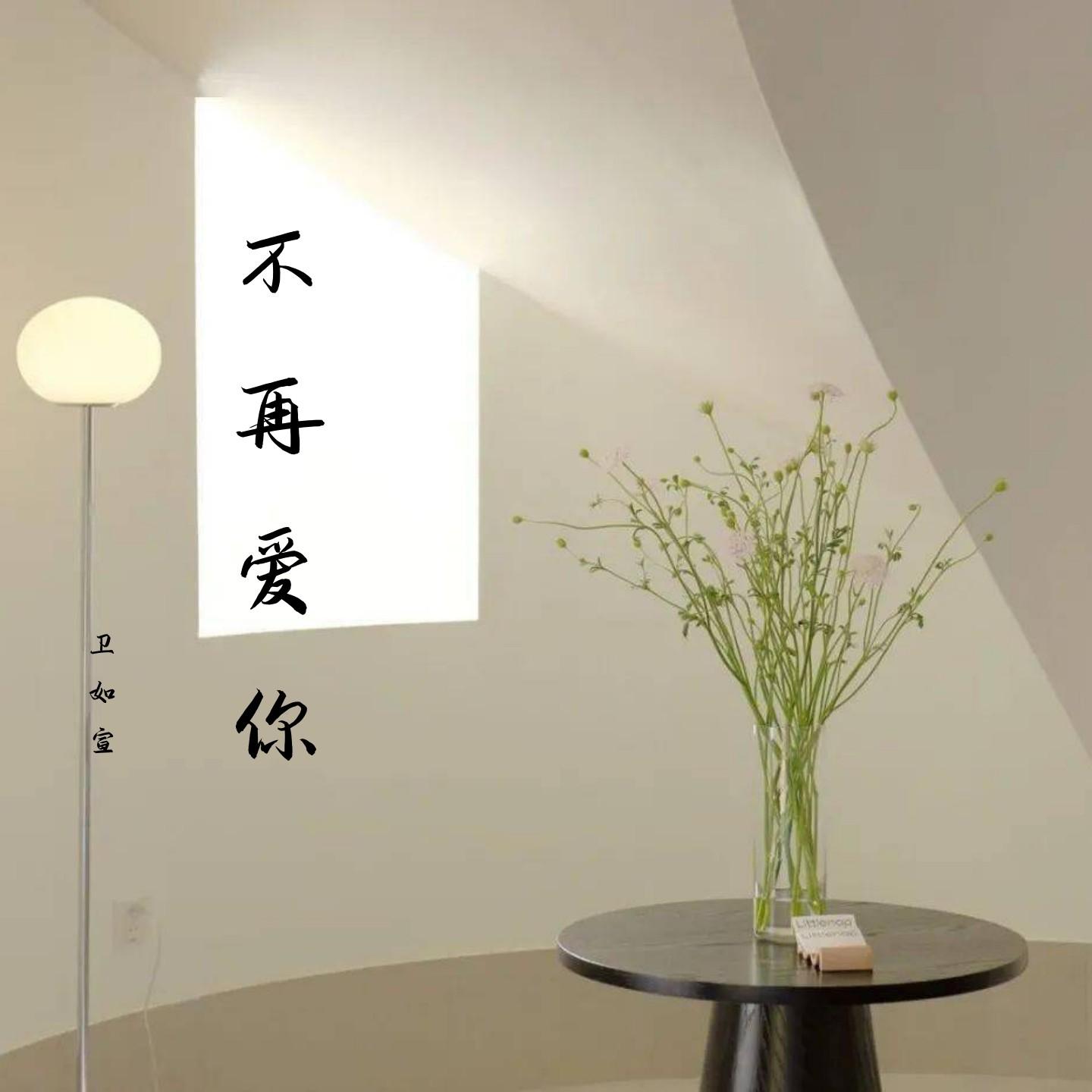 真的爱着你 - 卫如宣封面