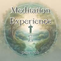 Meditation Experience 1