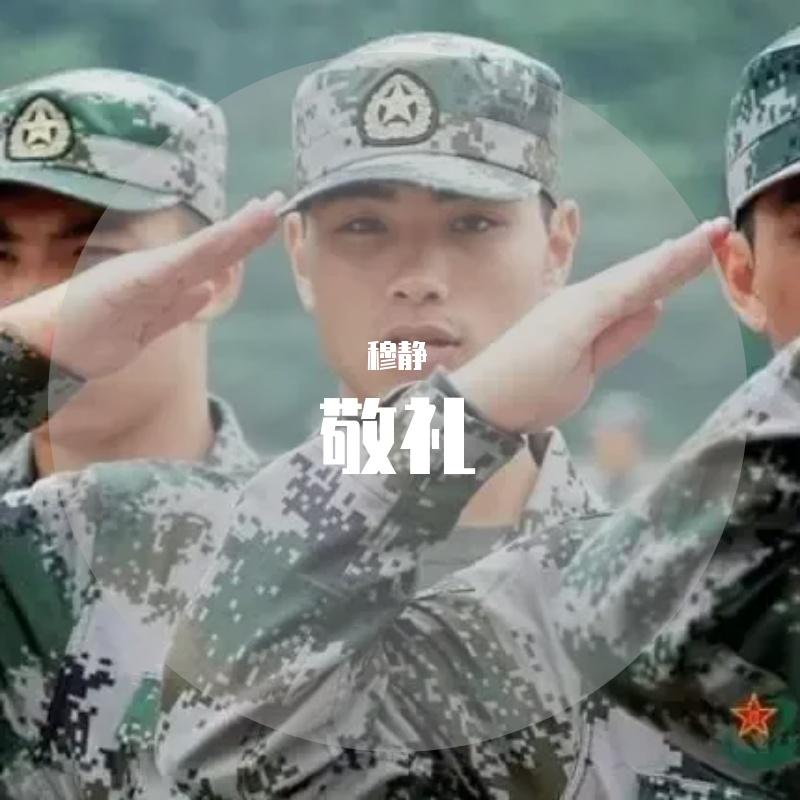 敬礼封面
