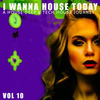 I Wanna House Today!, Vol. 10