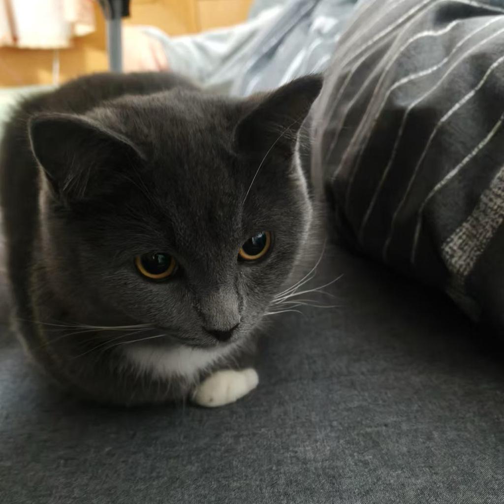 Ytouching you , penetrate your bone . 