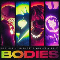 Bodies