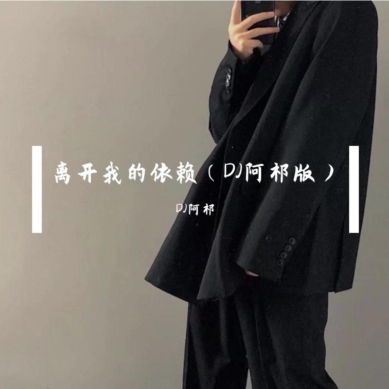 离开我的依赖 - DJ阿祁封面