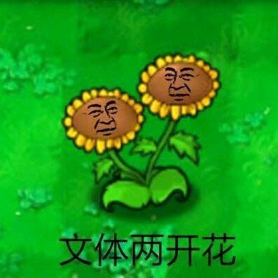 吴金莱