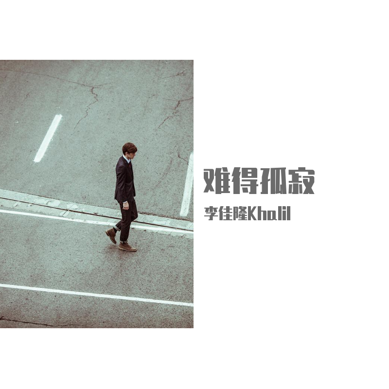 难得孤寂封面