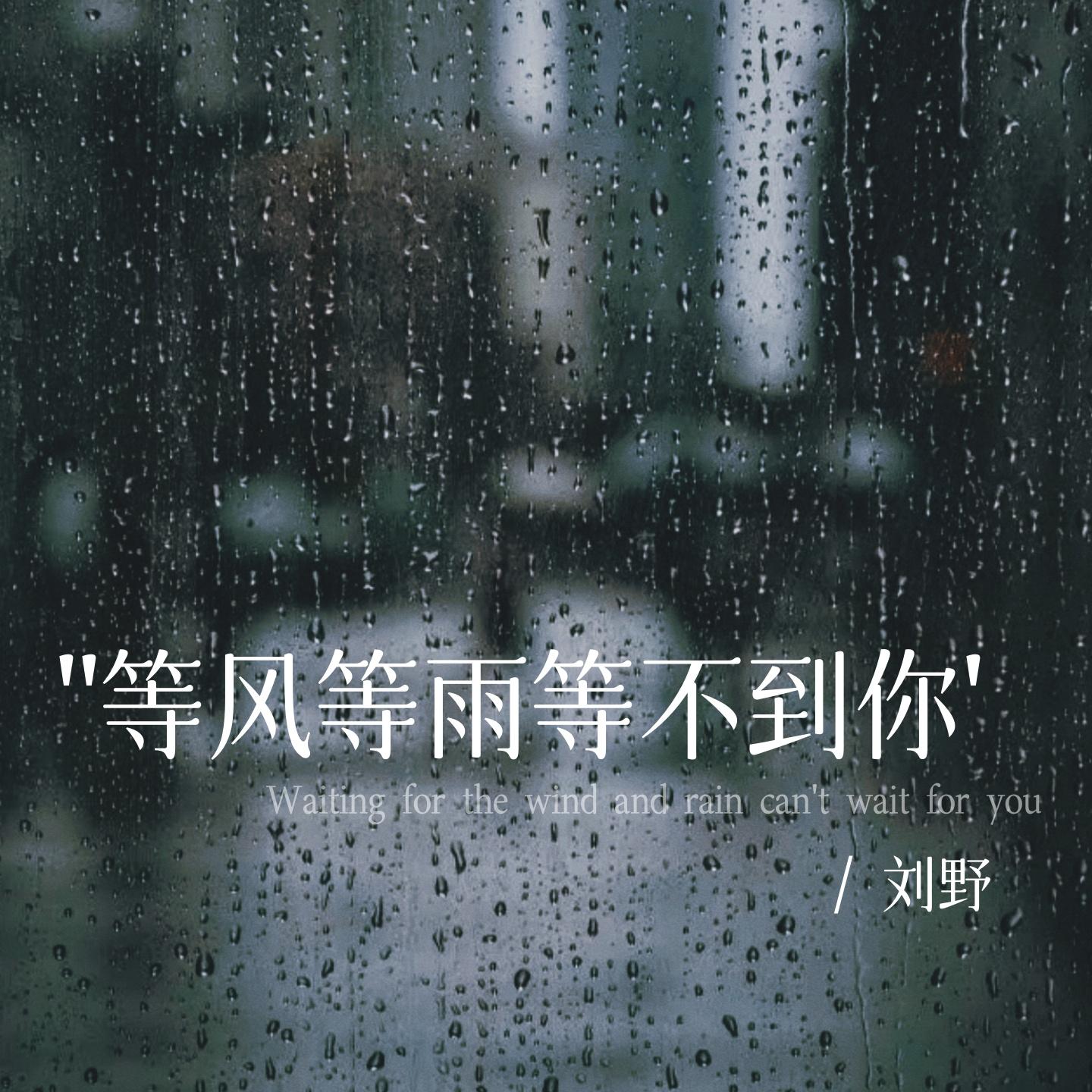 等风等雨等不到你 - 刘野封面