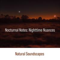 Nocturnal Notes: Nightime Nuances