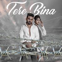 Tere Bina