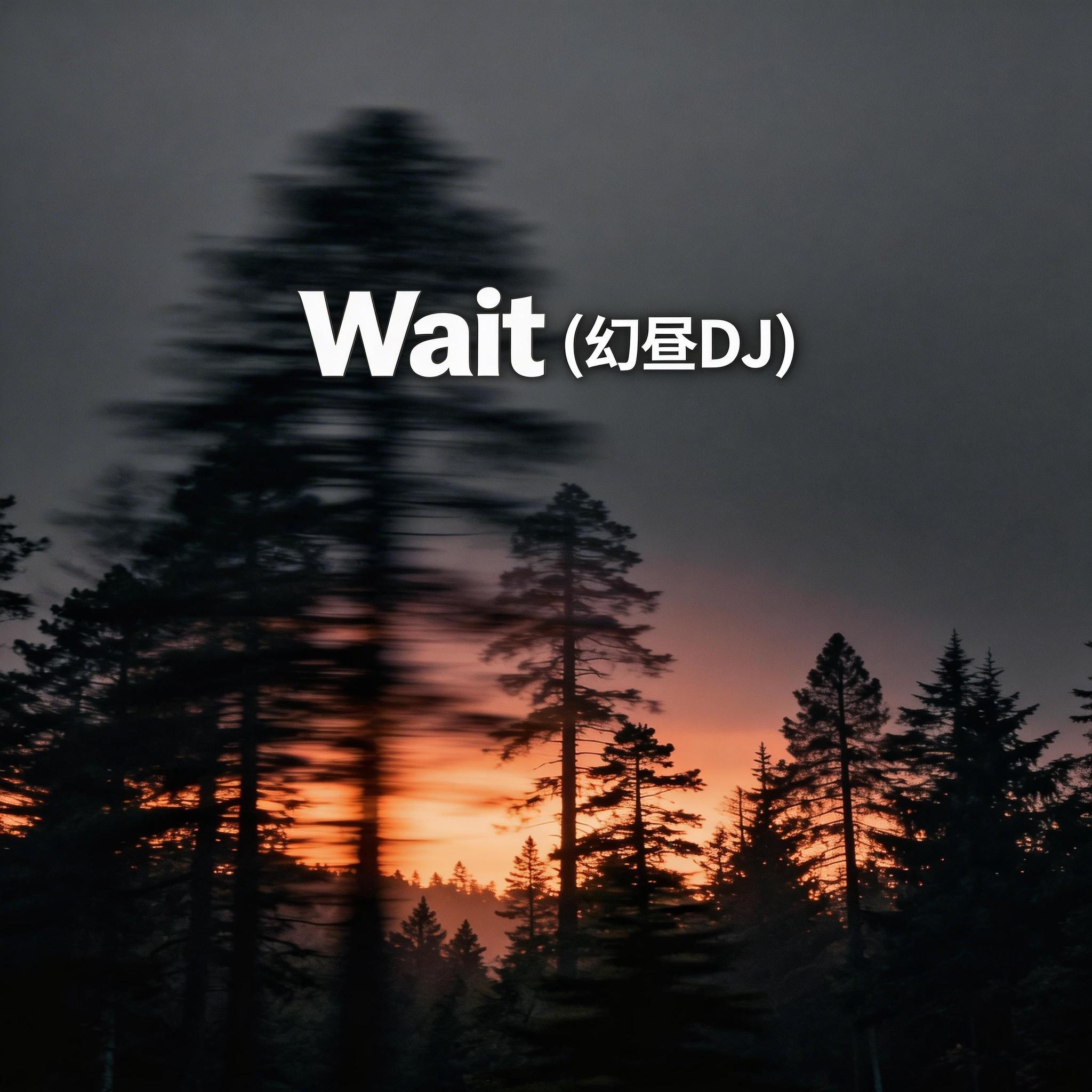 Wait_小黑_Wait | 在线播放_Wait歌词_Wait下载 | 网易云音乐