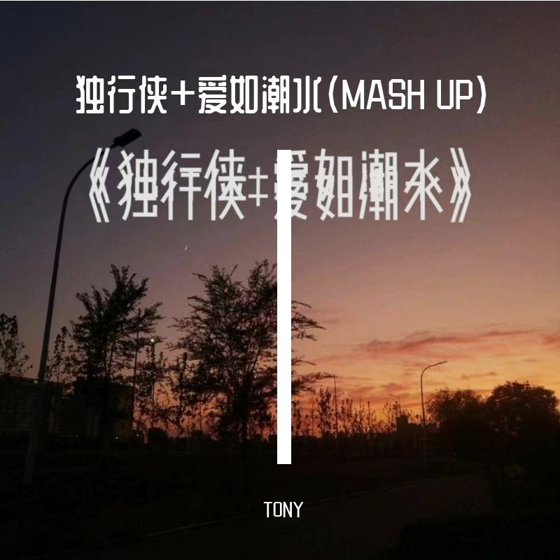 sea蕊-独行侠+爱如潮水(TONY_MASHUP Bootleg)