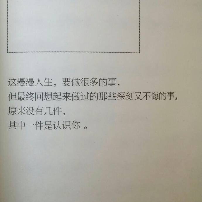 猫系女友封面