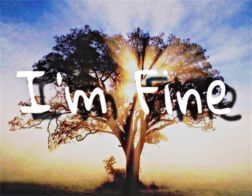 im fine remix