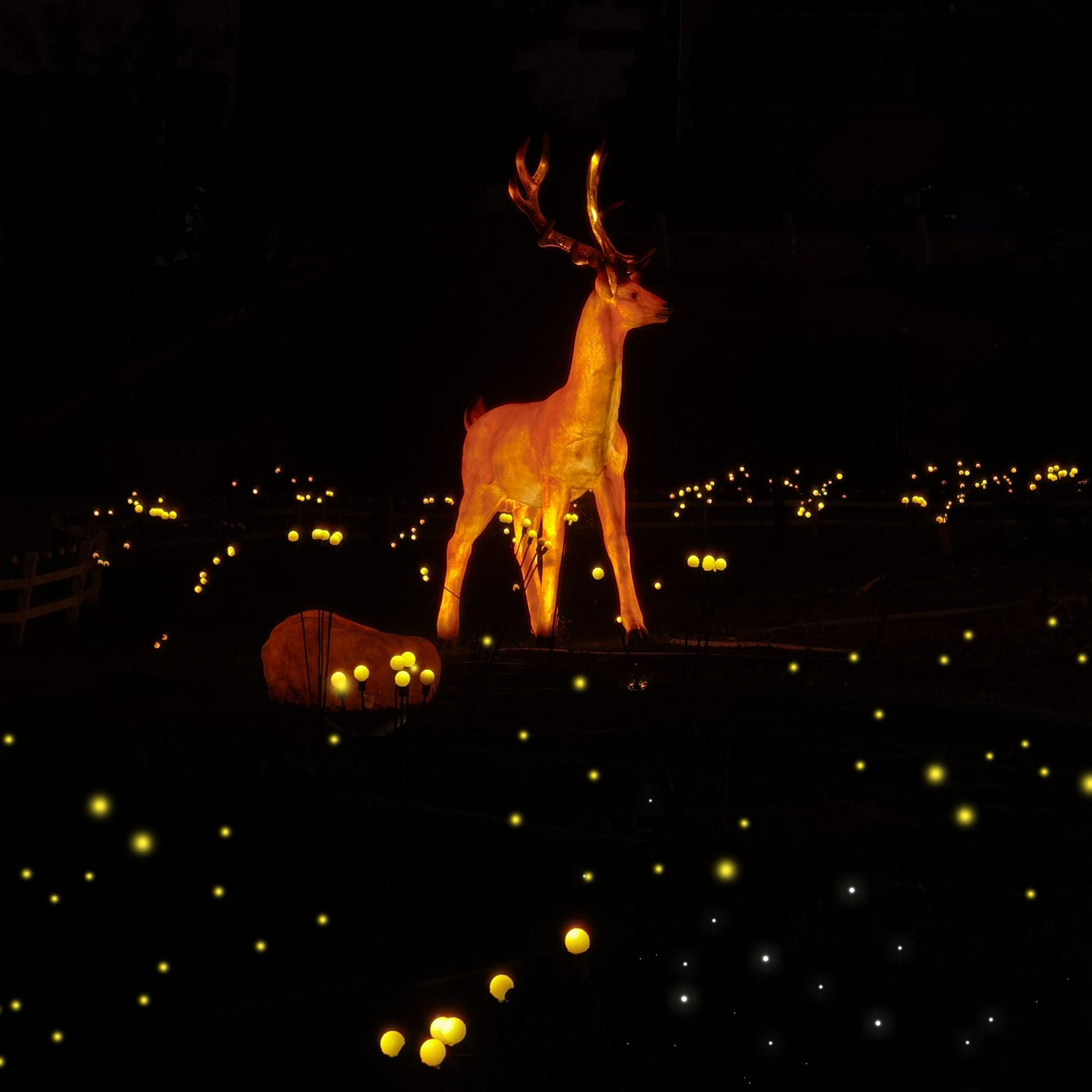 总有一天你会出现在我身边