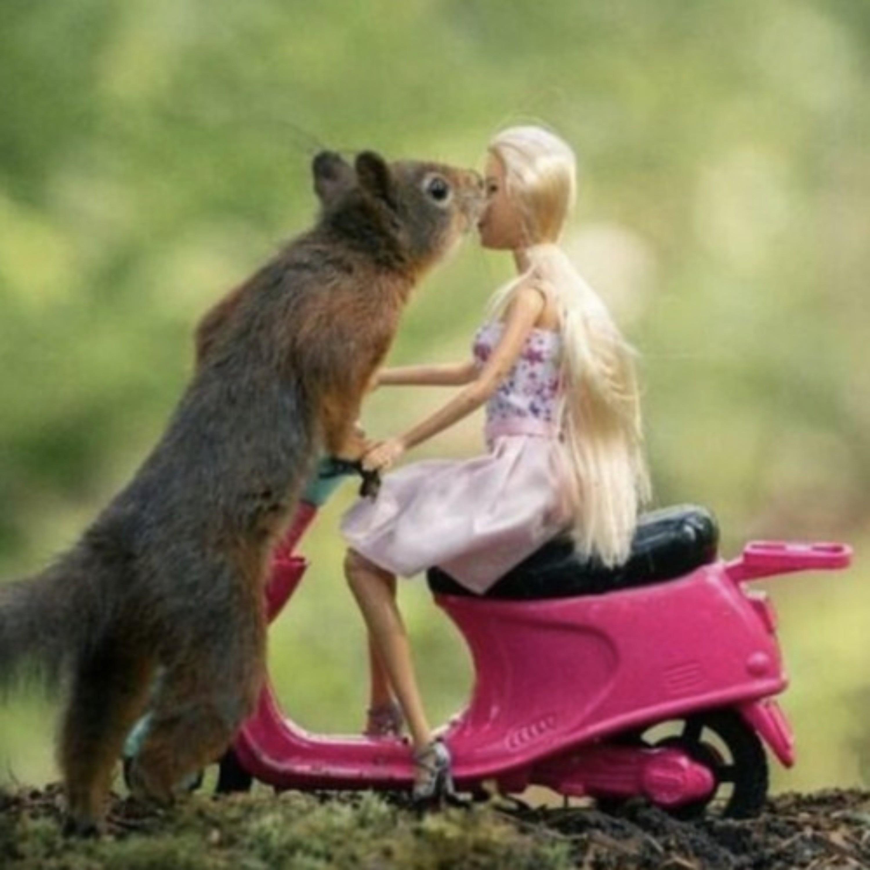 Im Winning (Based Freestyle)