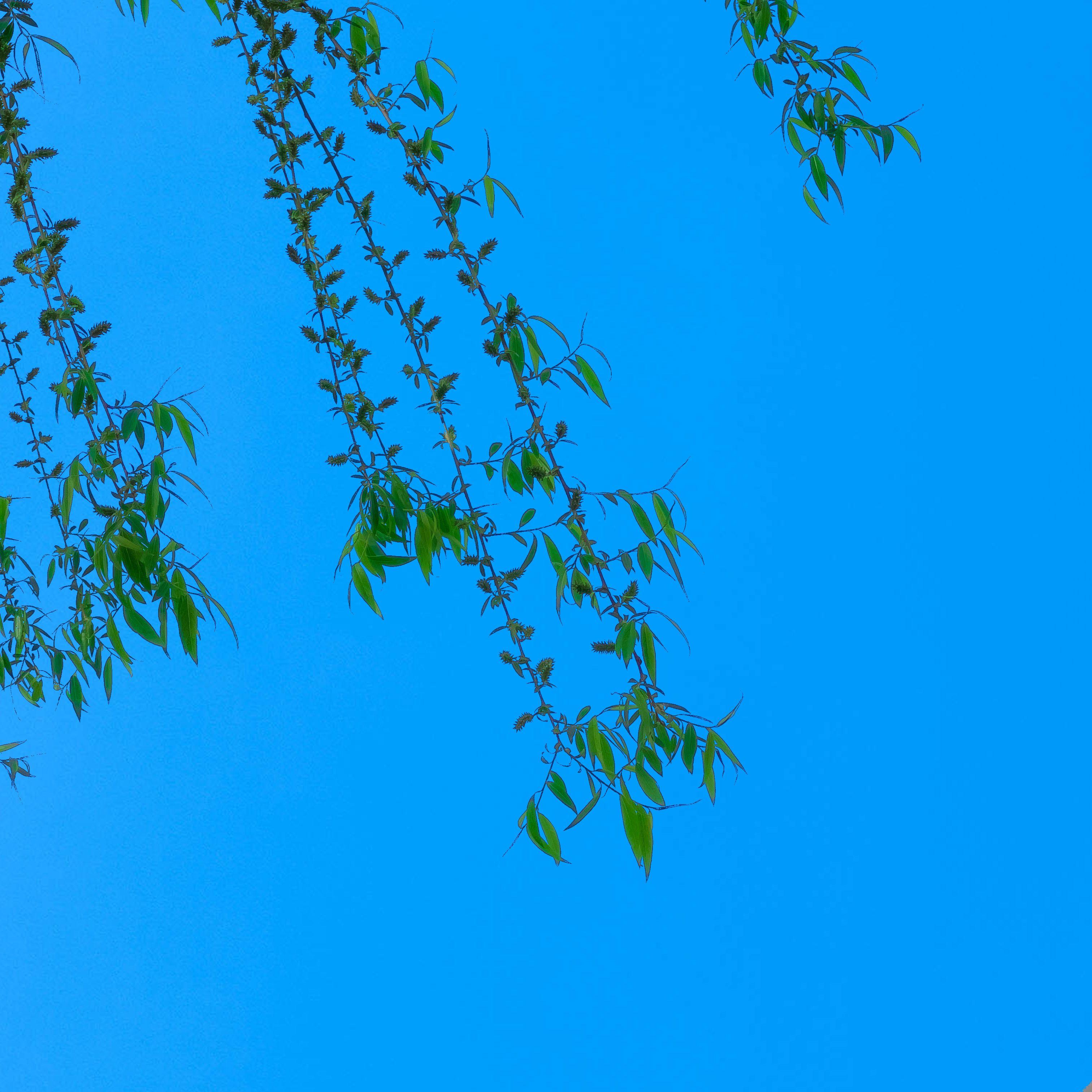 Sleeptalking（伴奏0.8）