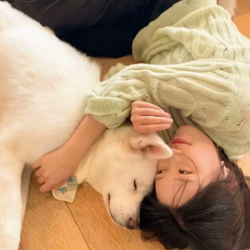 Party蓬勃生命力仙曲