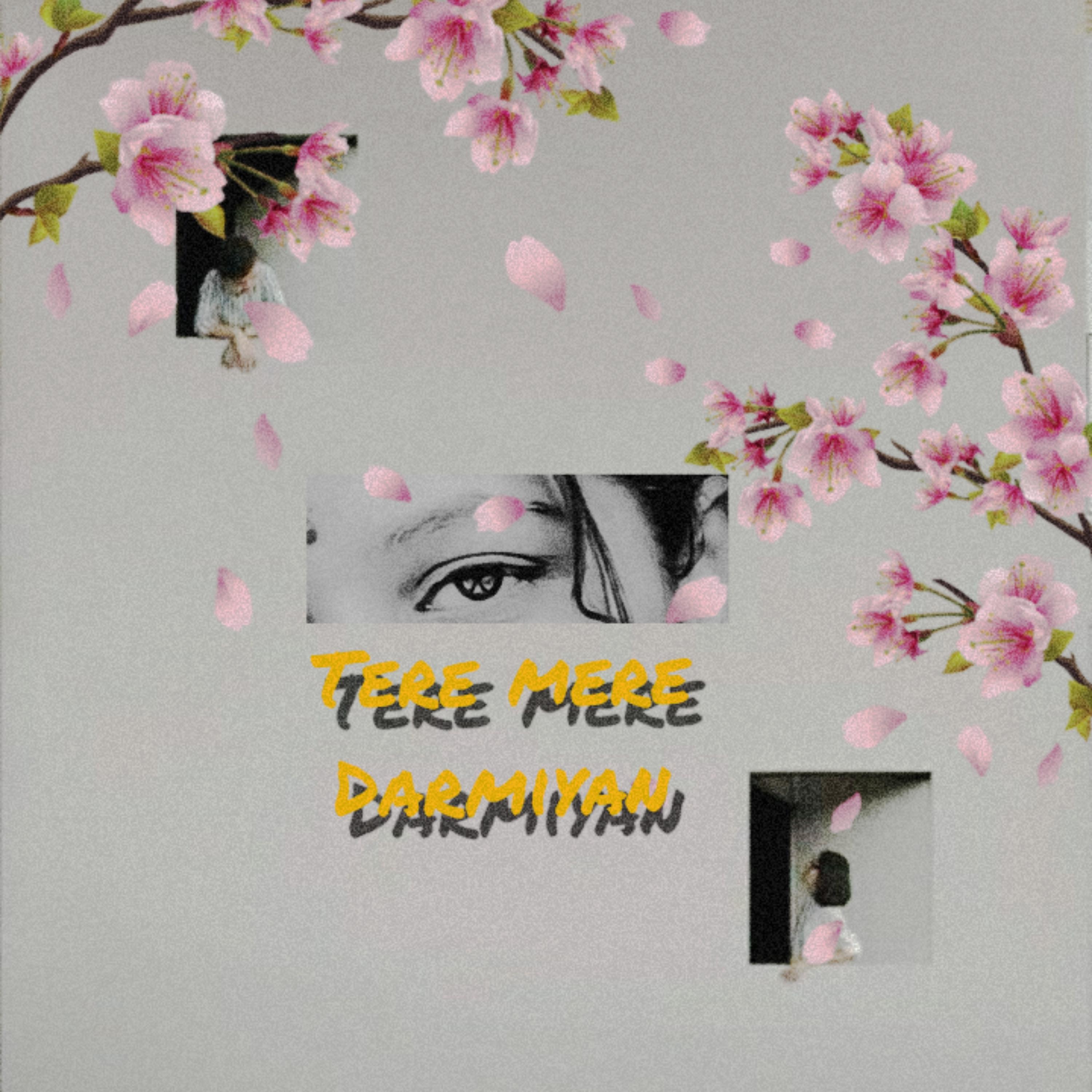 Tere Mere Darmiyan