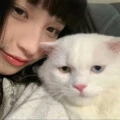Right Now (降调版) - DJ Music封面