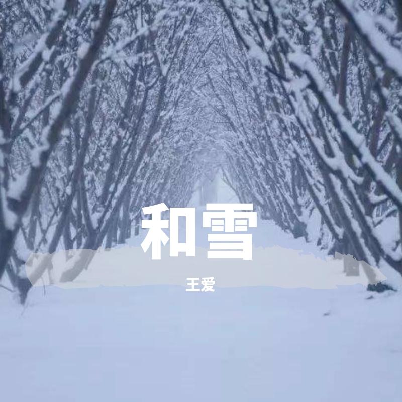 说说话封面