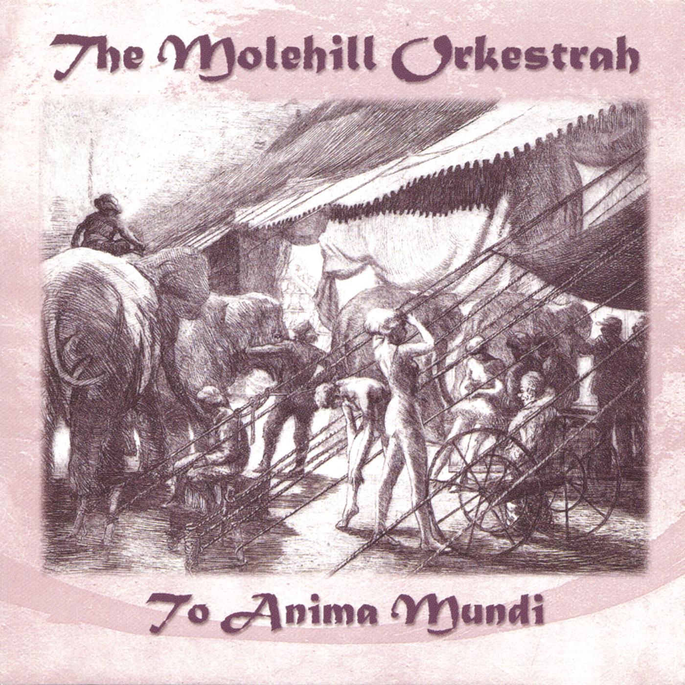 Swallows Flying with Dark Eyes