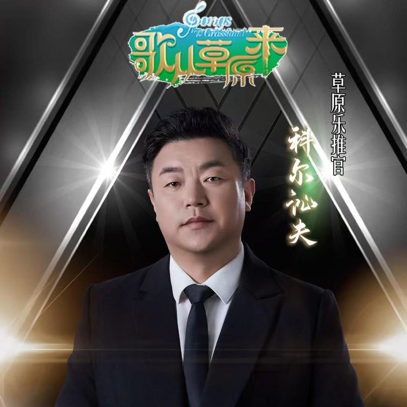 我在纳林湖等着你封面