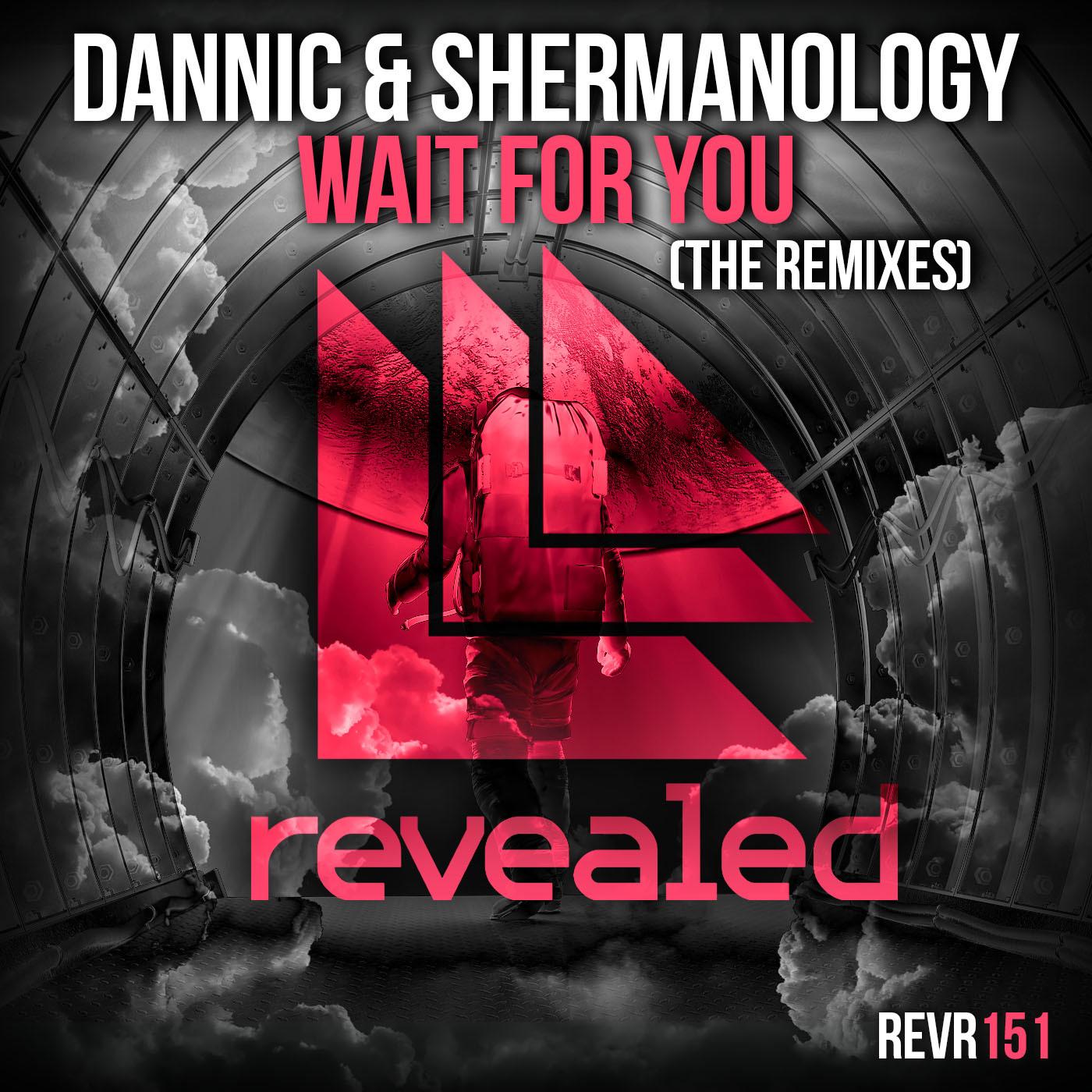 Wait For You (Original Mix)