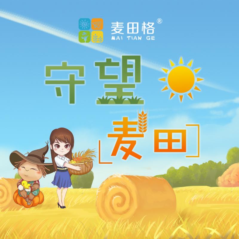 守望麦田封面