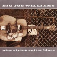 Nine String Guitar Blues