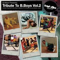 Tribute to B.Boys Vol.2