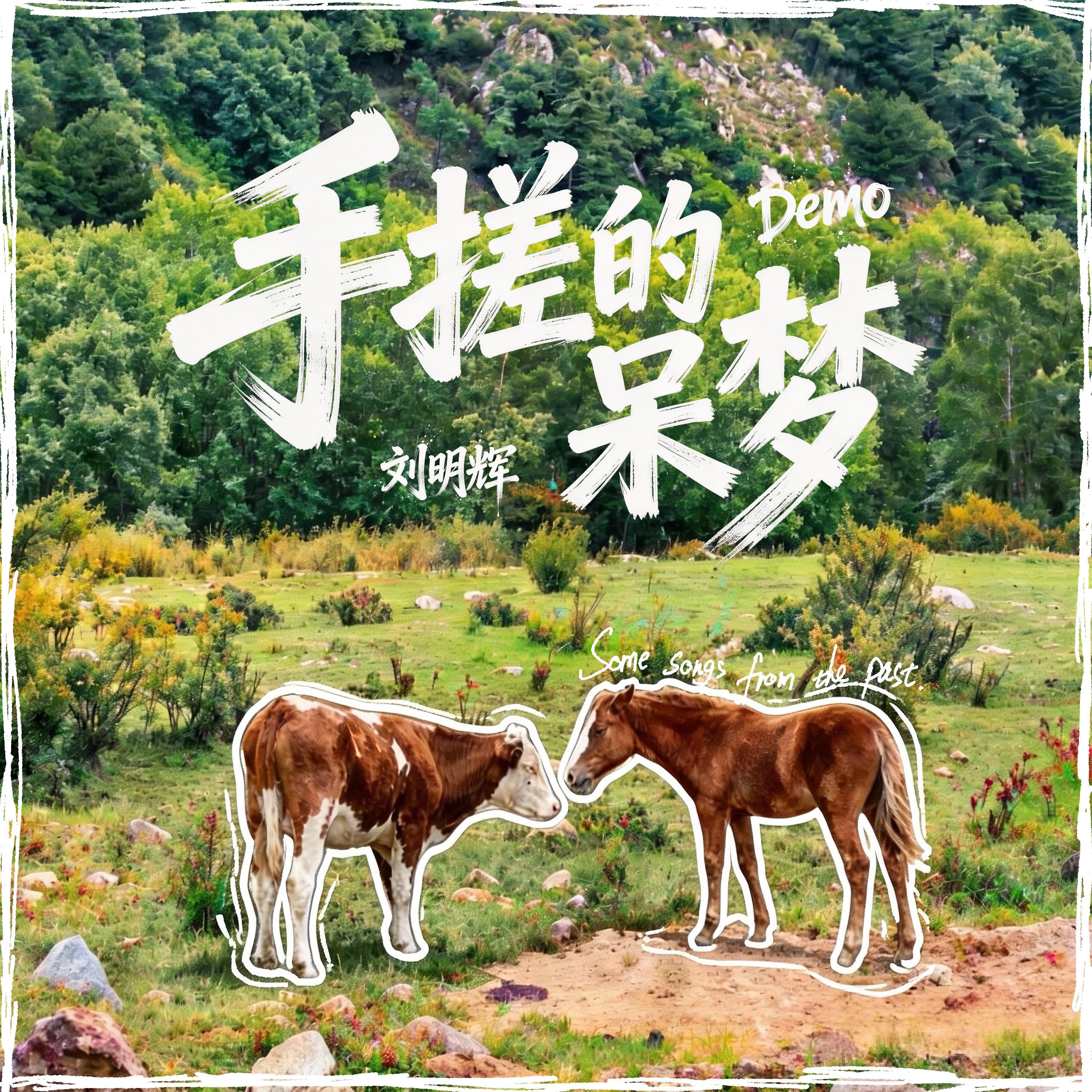 厚爱封面