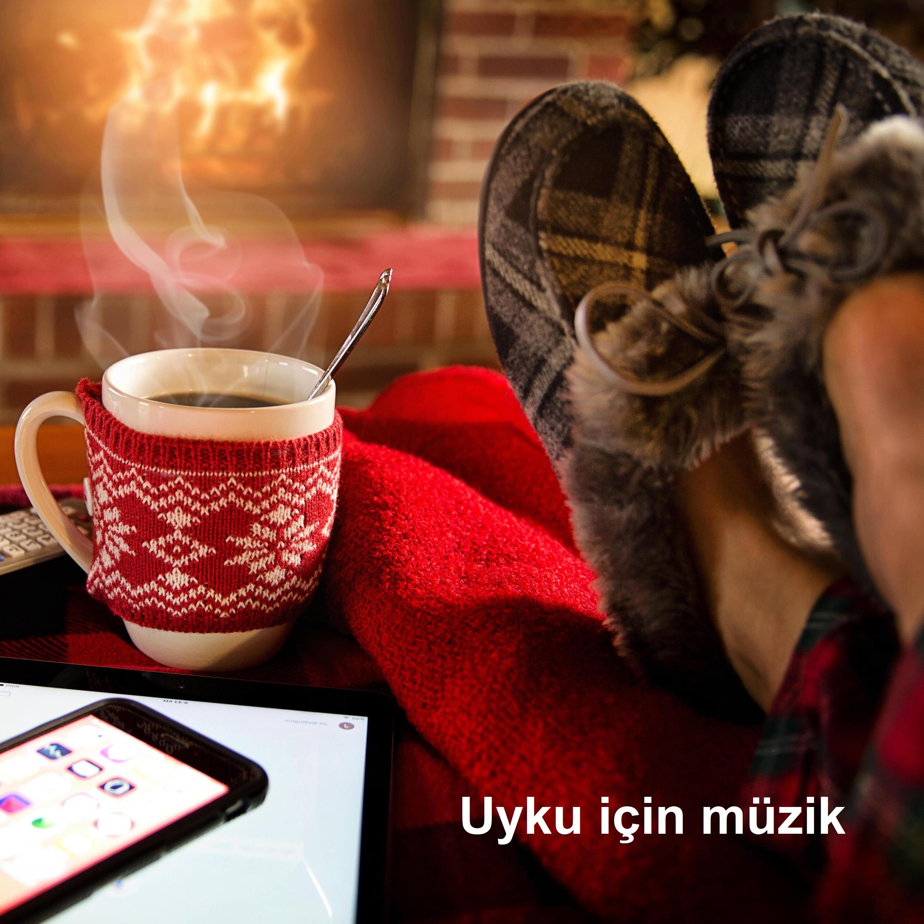 Uykusuzluk hastalığı