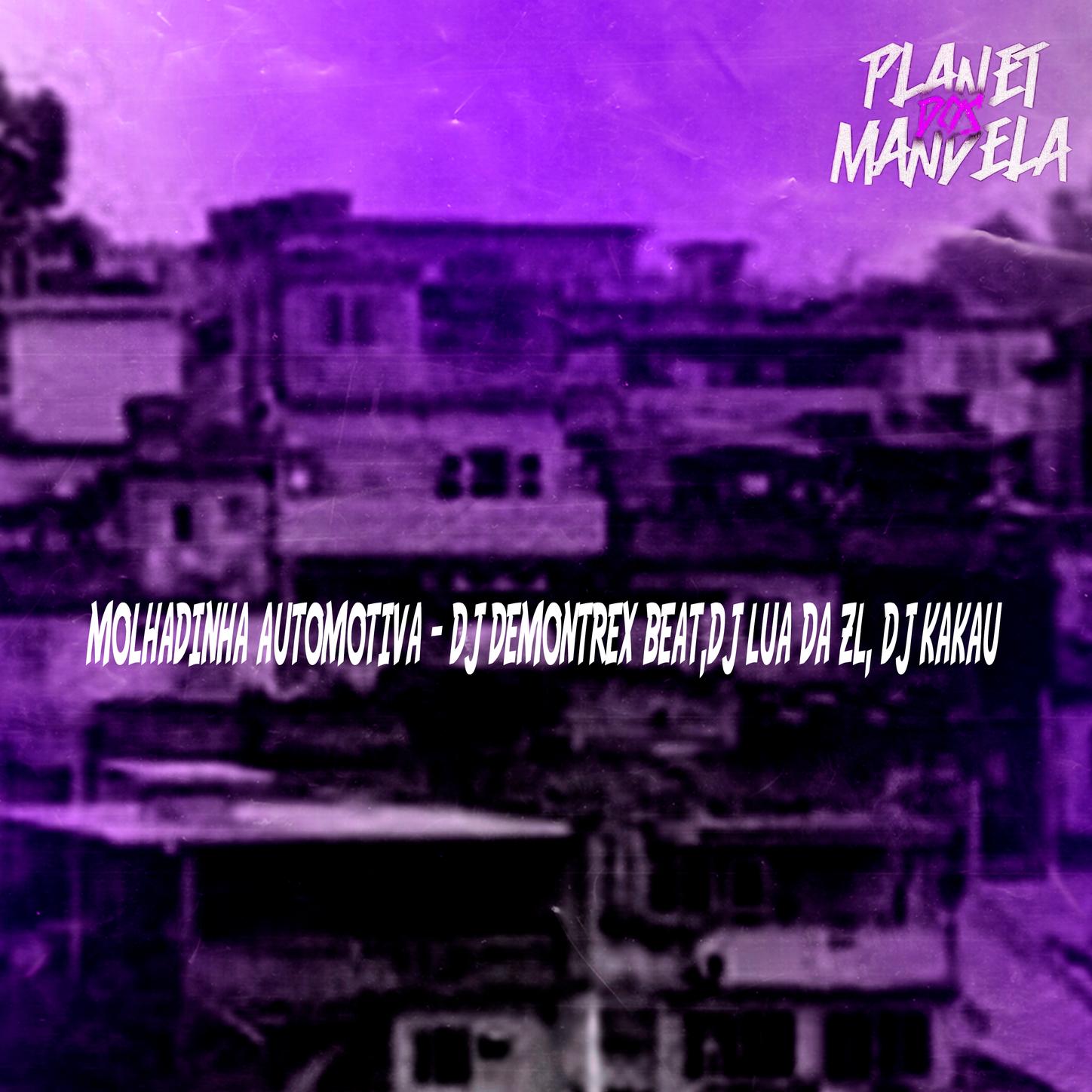 MOLHADINHA AUTOMOTIVA