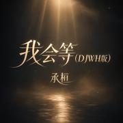 我会等(DJWH版)专辑