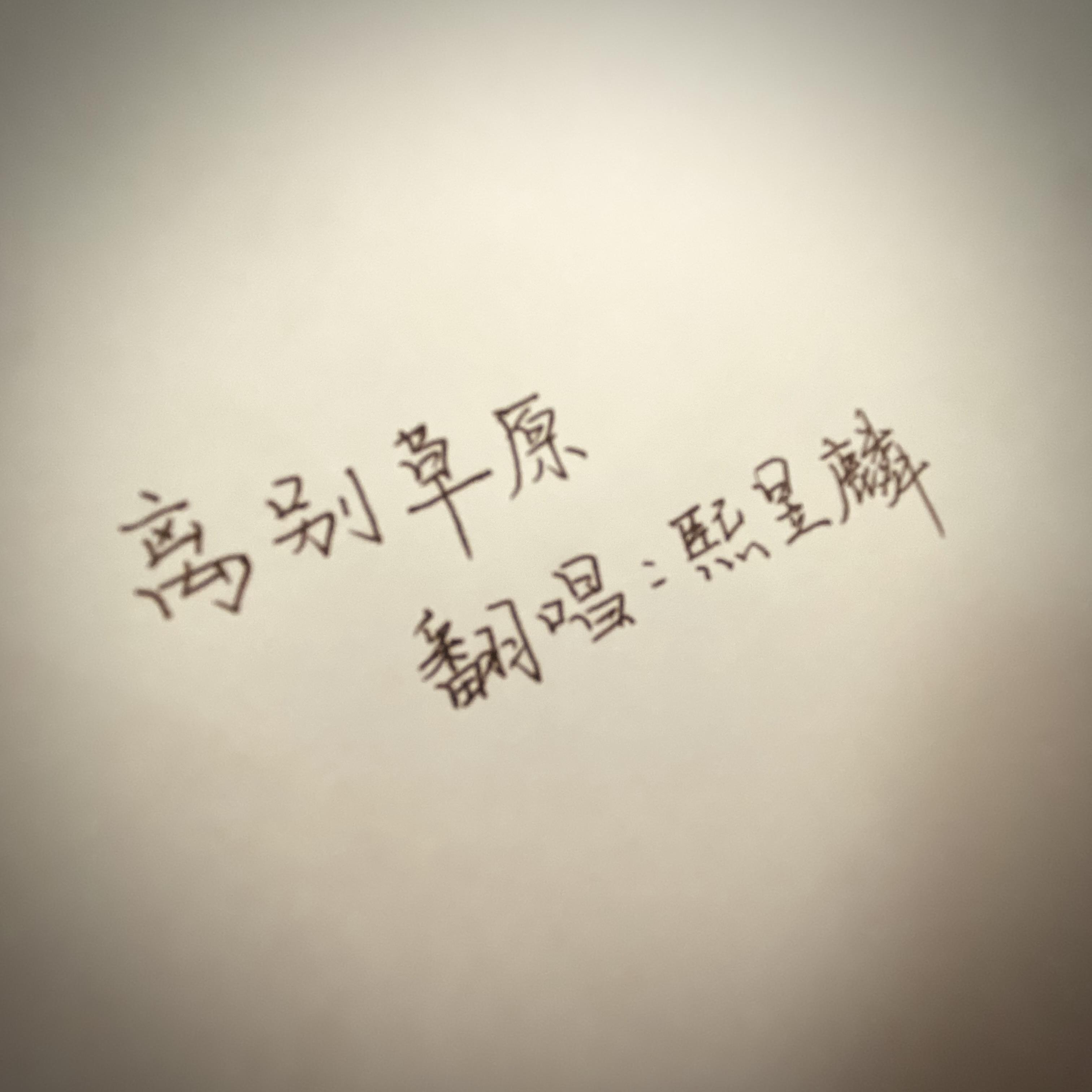 离别草原封面