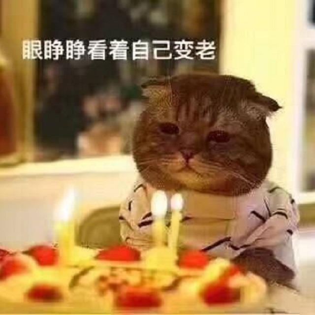 哥哥/姐姐的皱纹不是皱纹,是岁月的泛起的波痕