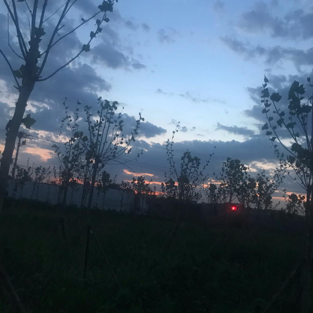 我喜欢