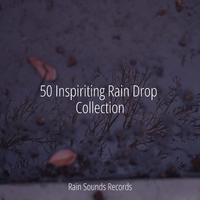 50 Inspiriting Rain Drop Collection