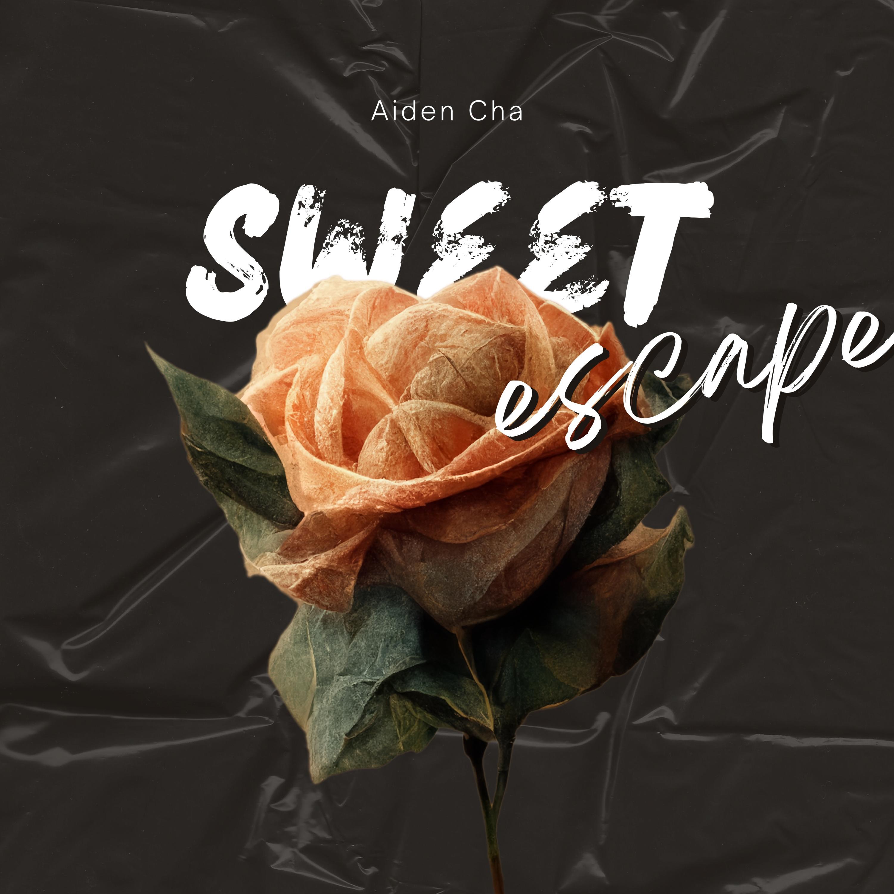 Sweet Escape封面