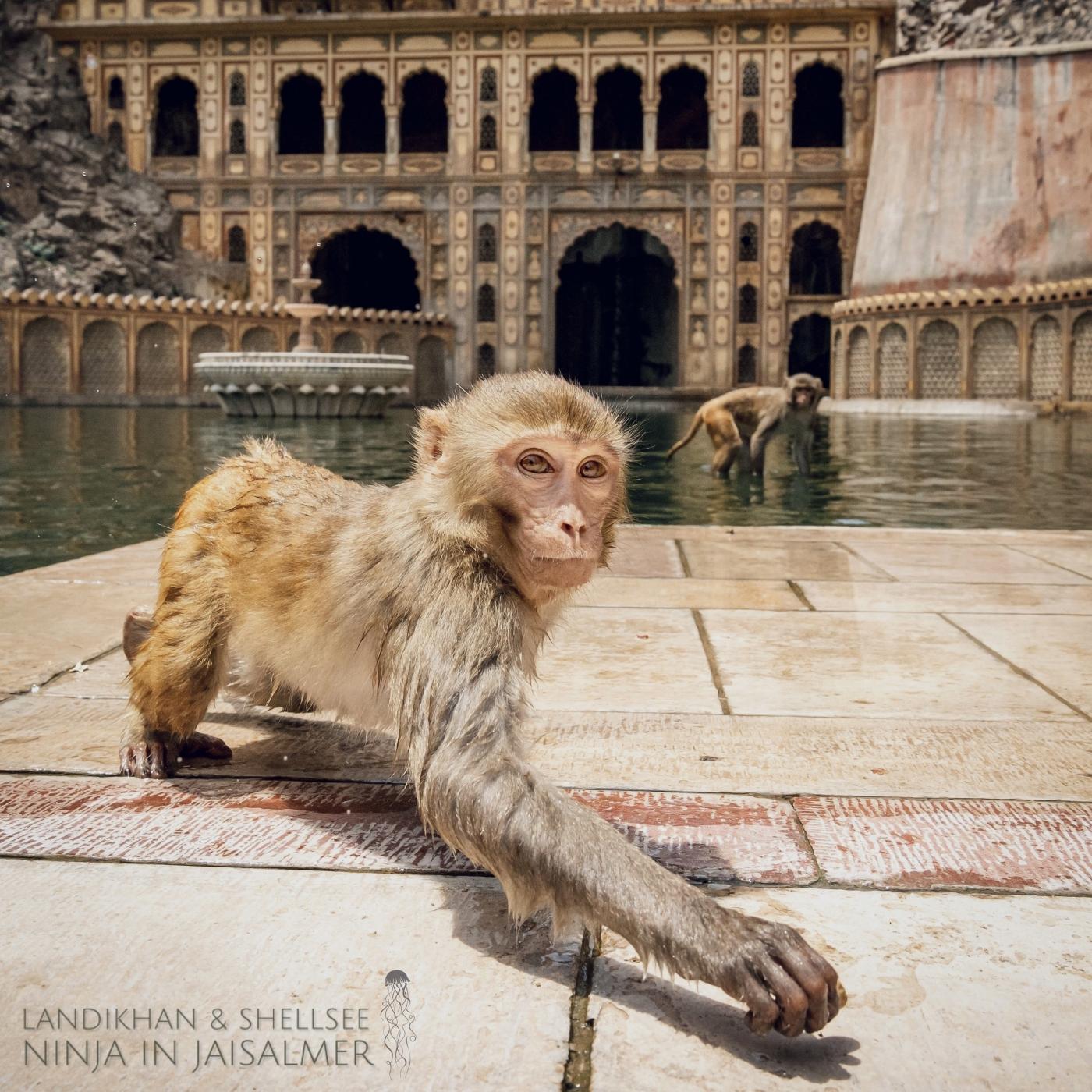 Ninja in Jaisalmer (Extended Mix)