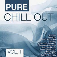 Pure Chill Out Vol. 1