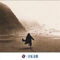 烟雨人间 (DJ版)封面