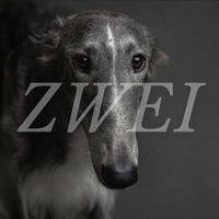 ZWEI