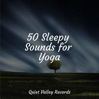 50 Sleepy Sounds for Yoga