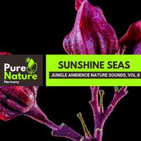 Sunshine Seas - Jungle Ambience Nature Sounds, Vol.8