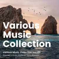 Various Music Collection Vol.135 -Selected & Music-Published by Audiostock-