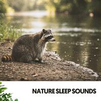 Nature Sleep Sounds: Harmonies of the Earth