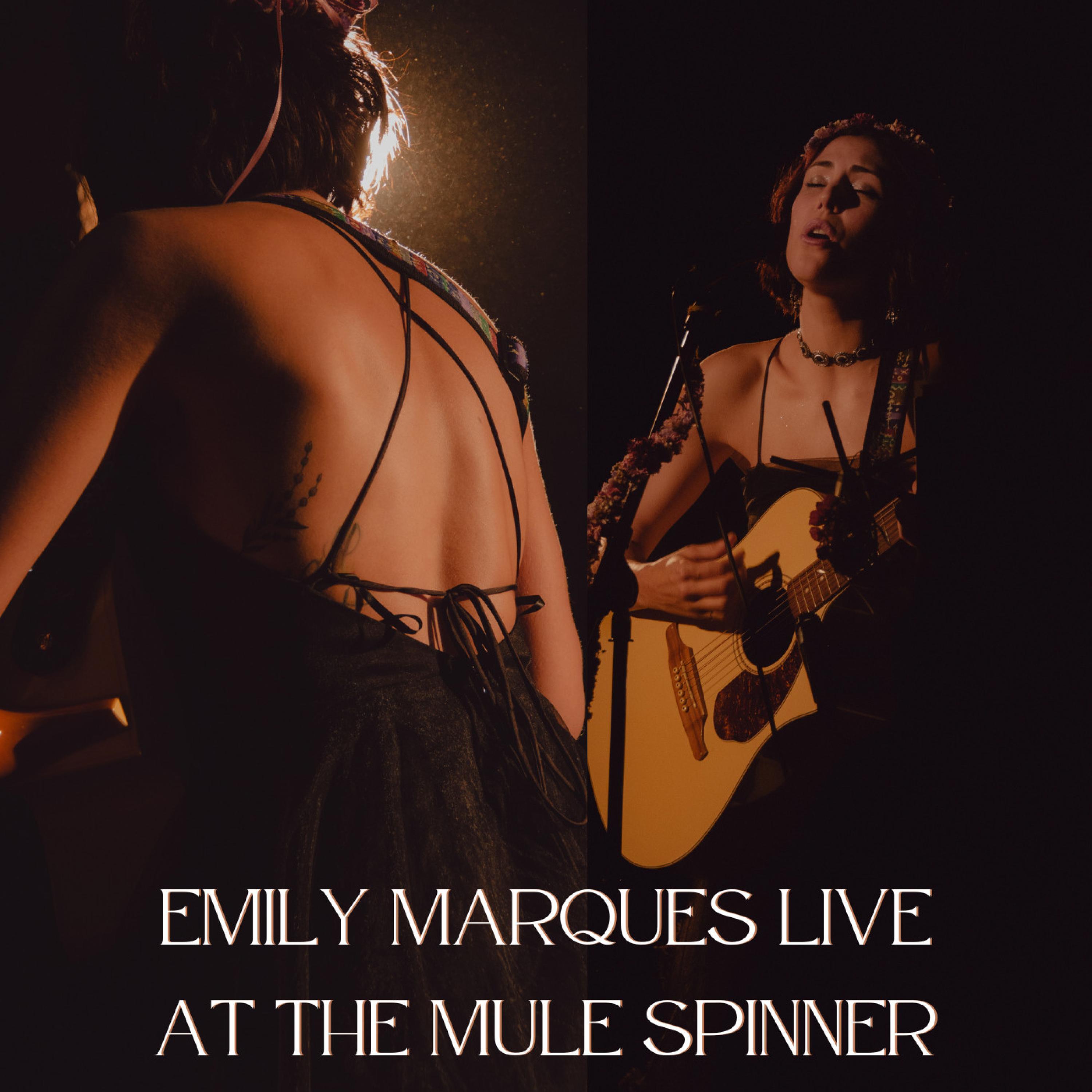 Promise (Live & Acoustic)