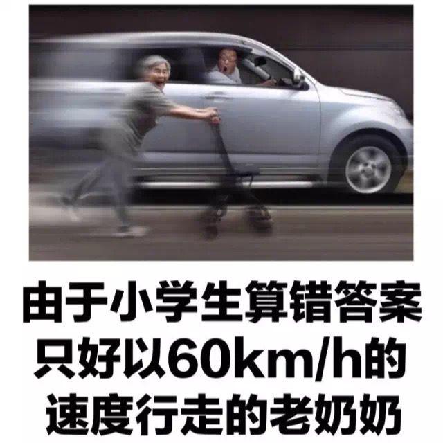 凌晨四点的海棠花未眠封面
