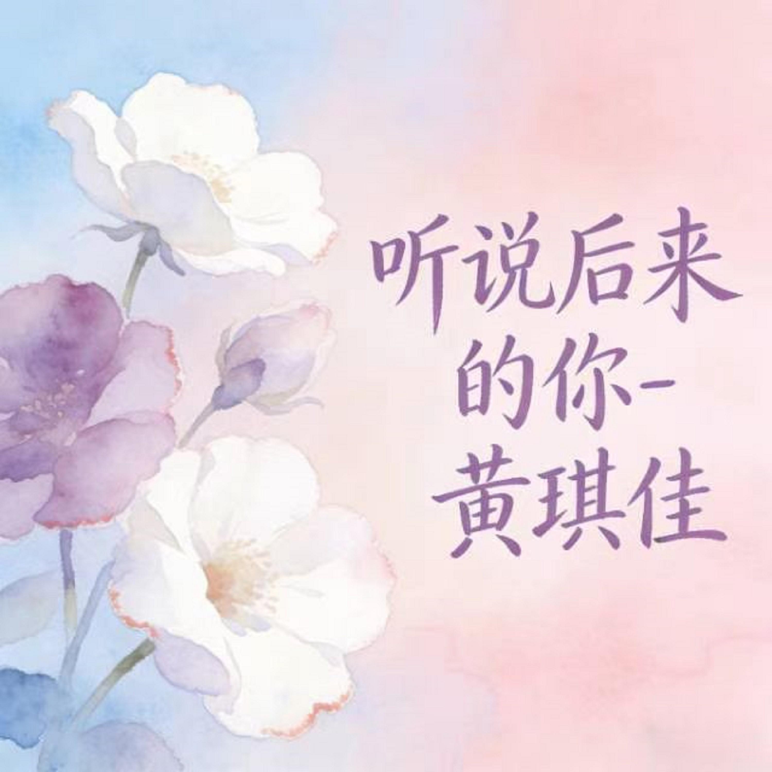 听说后来的你 (烟嗓版)封面