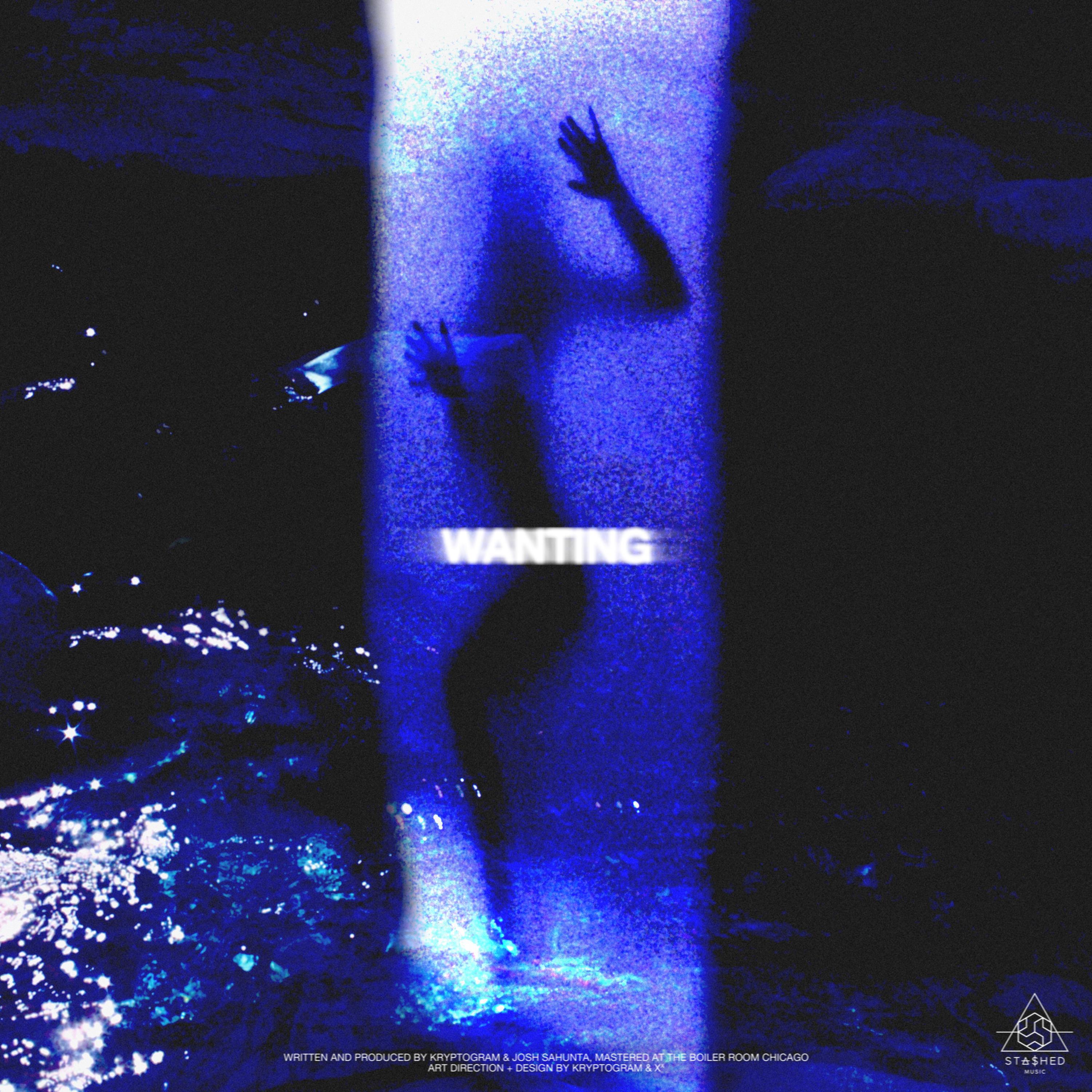 Wanting (Original Mix)